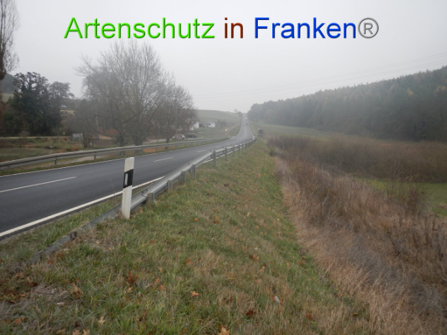 © Artenschutz in Franken® Bild zum Eintrag (1004969-160)