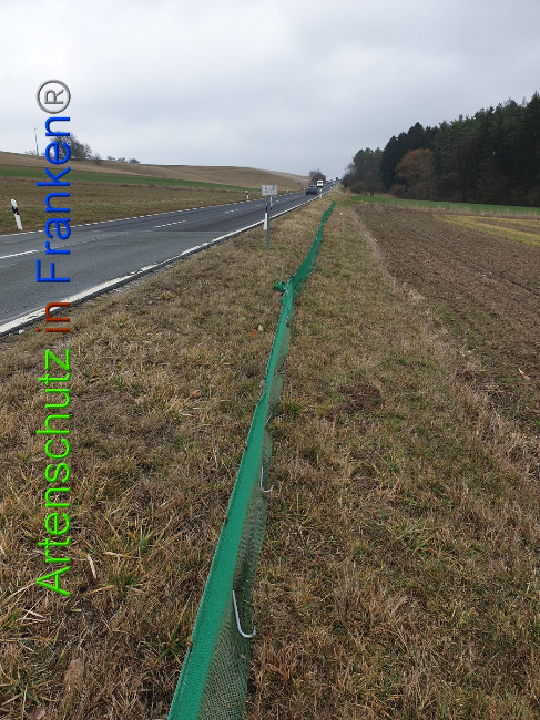© Artenschutz in Franken® Bild zum Eintrag (1004974-160)