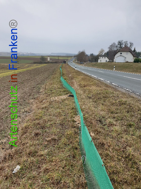 © Artenschutz in Franken® Bild zum Eintrag (1004975-160)