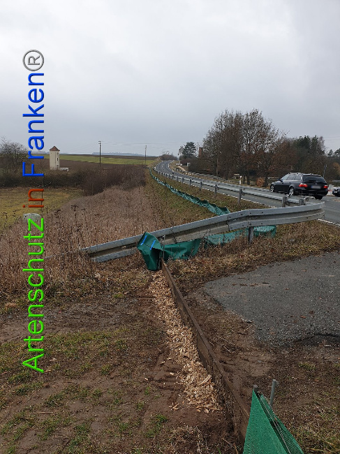 © Artenschutz in Franken® Bild zum Eintrag (1004979-160)