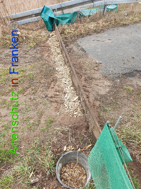 © Artenschutz in Franken® Bild zum Eintrag (1004980-160)