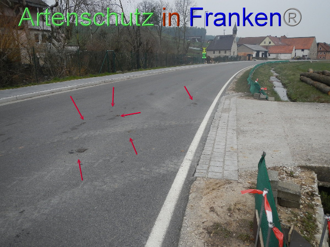 © Artenschutz in Franken® Bild zum Eintrag (1005108-160)