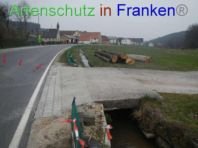 © Artenschutz in Franken® Bild zum Eintrag (1005112-160)