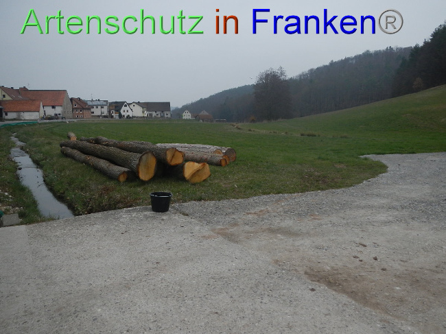 © Artenschutz in Franken® Bild zum Eintrag (1005116-160)