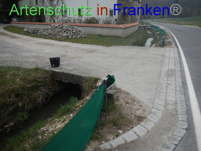 © Artenschutz in Franken® Bild zum Eintrag (1005117-160)