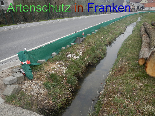 © Artenschutz in Franken® Bild zum Eintrag (1005118-160)