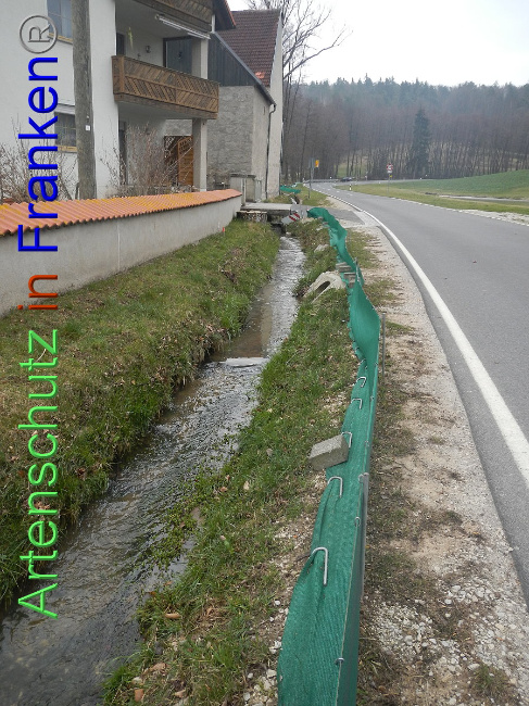 © Artenschutz in Franken® Bild zum Eintrag (1005119-160)