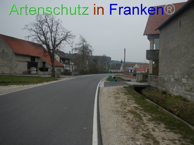 © Artenschutz in Franken® Bild zum Eintrag (1005121-160)
