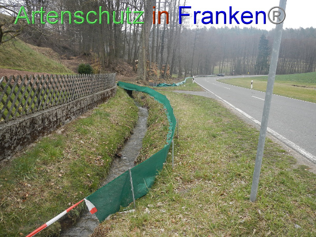 © Artenschutz in Franken® Bild zum Eintrag (1005125-160)