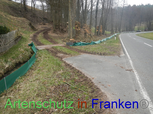 © Artenschutz in Franken® Bild zum Eintrag (1005126-160)