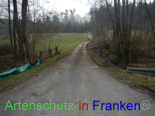 © Artenschutz in Franken® Bild zum Eintrag (1005130-160)