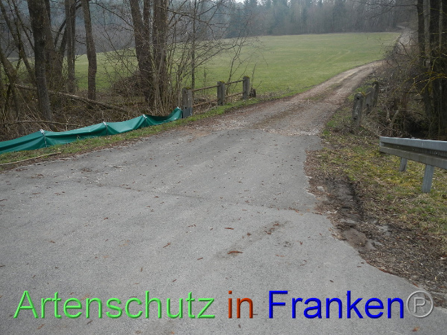 © Artenschutz in Franken® Bild zum Eintrag (1005131-160)