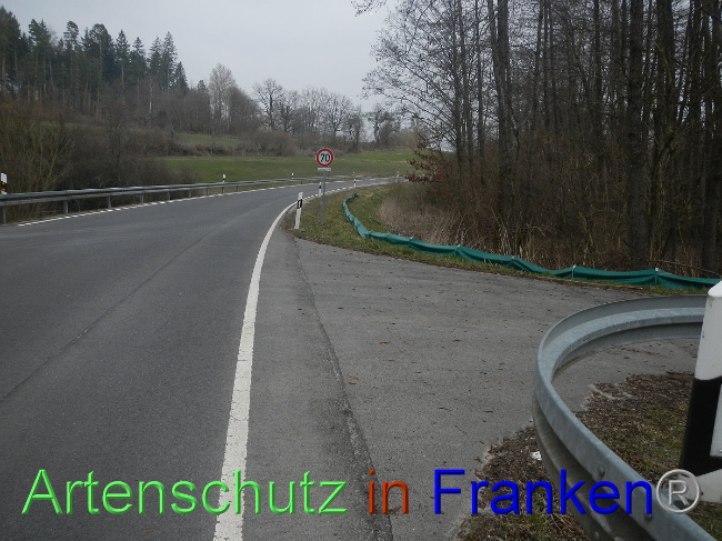© Artenschutz in Franken® Bild zum Eintrag (1005132-160)