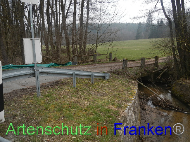 © Artenschutz in Franken® Bild zum Eintrag (1005133-160)