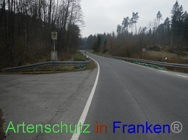 © Artenschutz in Franken® Bild zum Eintrag (1005134-160)