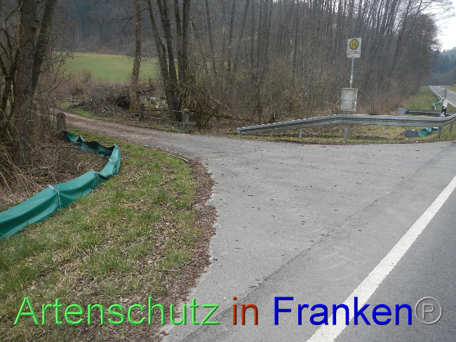 © Artenschutz in Franken® Bild zum Eintrag (1005135-160)