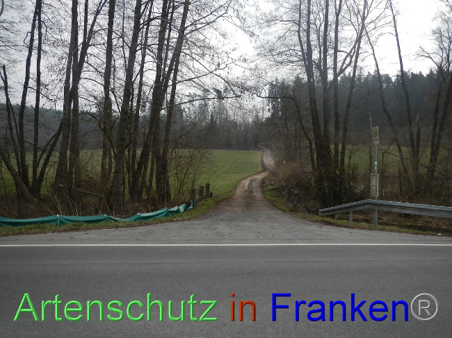 © Artenschutz in Franken® Bild zum Eintrag (1005136-160)