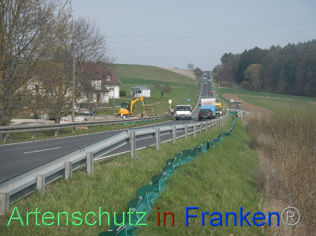 © Artenschutz in Franken® Bild zum Eintrag (1005289-160)