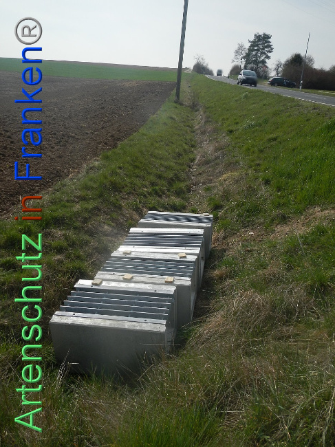 © Artenschutz in Franken® Bild zum Eintrag (1005290-160)