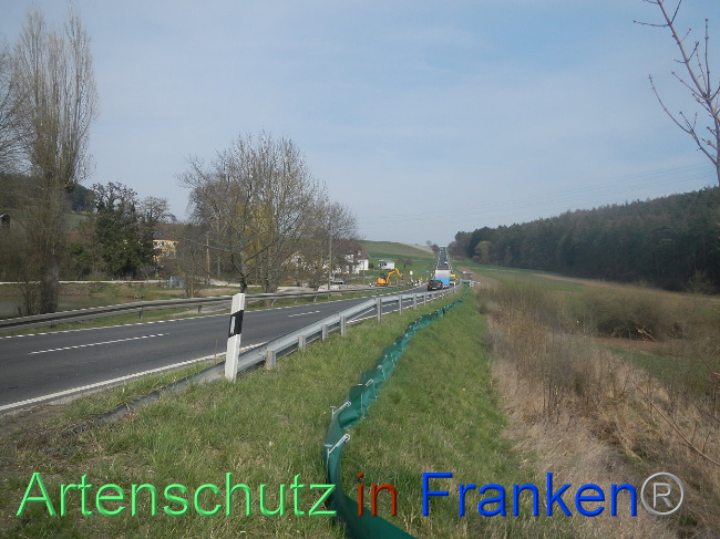© Artenschutz in Franken® Bild zum Eintrag (1005291-160)