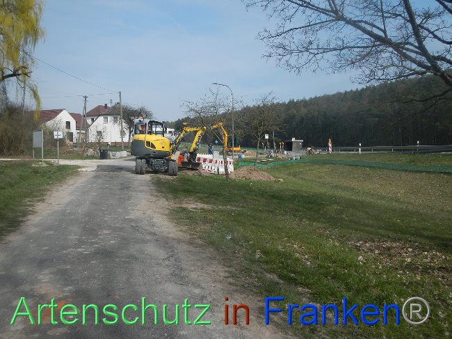 © Artenschutz in Franken® Bild zum Eintrag (1005294-160)