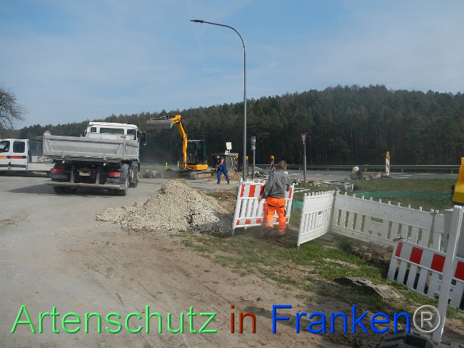 © Artenschutz in Franken® Bild zum Eintrag (1005295-160)