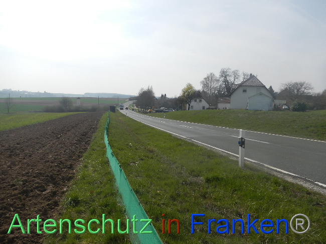 © Artenschutz in Franken® Bild zum Eintrag (1005296-160)