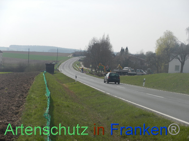 © Artenschutz in Franken® Bild zum Eintrag (1005297-160)