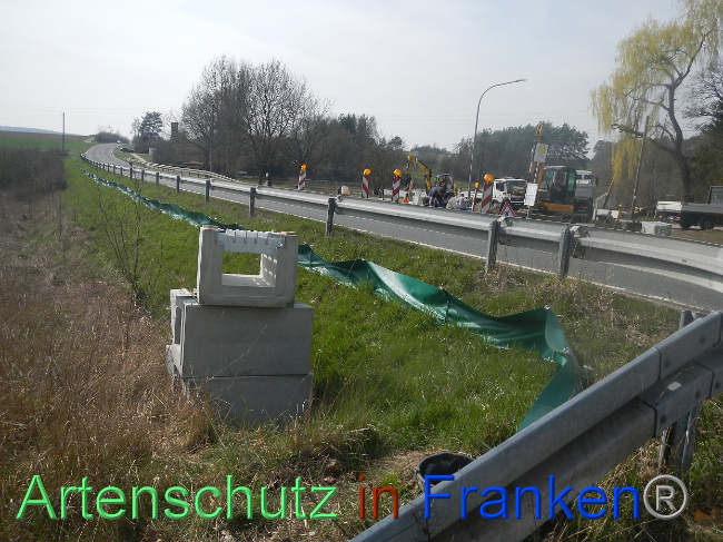 © Artenschutz in Franken® Bild zum Eintrag (1005300-160)