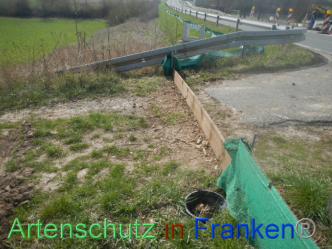 © Artenschutz in Franken® Bild zum Eintrag (1005301-160)