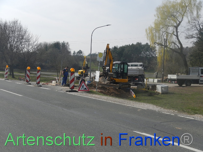 © Artenschutz in Franken® Bild zum Eintrag (1005303-160)