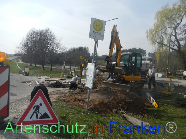 © Artenschutz in Franken® Bild zum Eintrag (1005305-160)