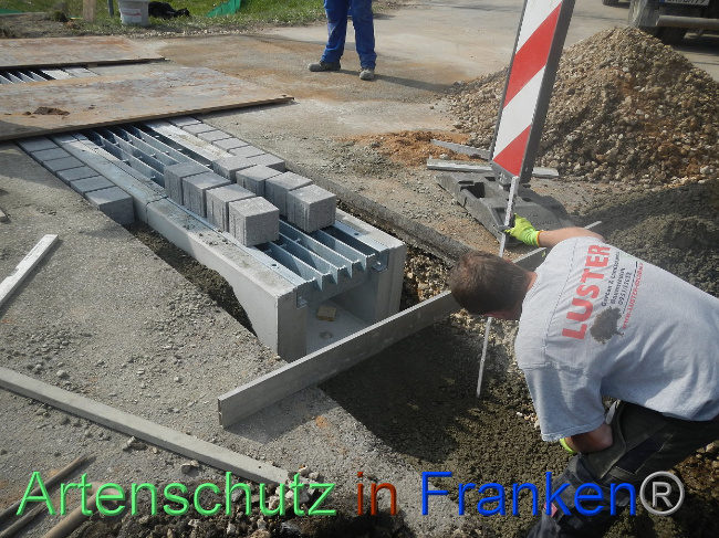 © Artenschutz in Franken® Bild zum Eintrag (1005307-160)