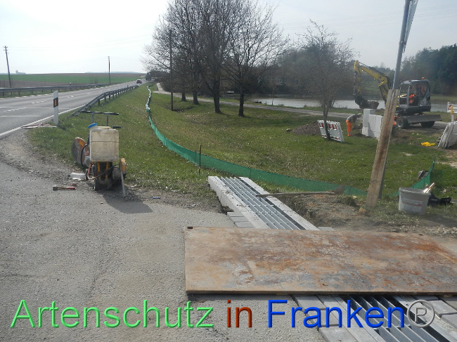 © Artenschutz in Franken® Bild zum Eintrag (1005309-160)