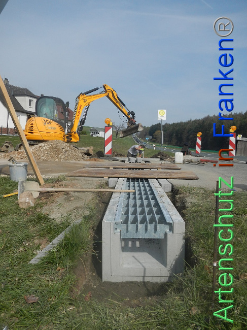 © Artenschutz in Franken® Bild zum Eintrag (1005310-160)