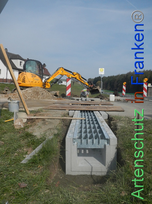 © Artenschutz in Franken® Bild zum Eintrag (1005311-160)