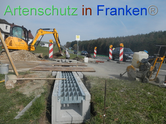 © Artenschutz in Franken® Bild zum Eintrag (1005312-160)