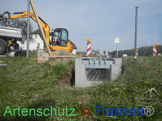 © Artenschutz in Franken® Bild zum Eintrag (1005313-160)
