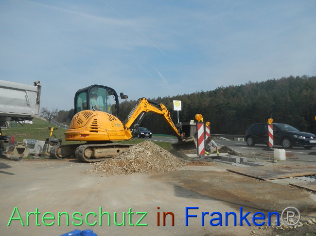 © Artenschutz in Franken® Bild zum Eintrag (1005314-160)