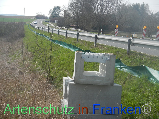© Artenschutz in Franken® Bild zum Eintrag (1005316-160)
