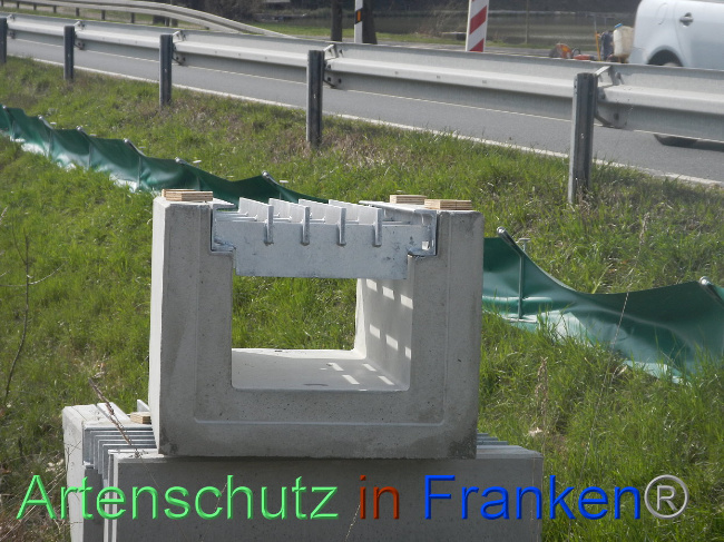 © Artenschutz in Franken® Bild zum Eintrag (1005318-160)