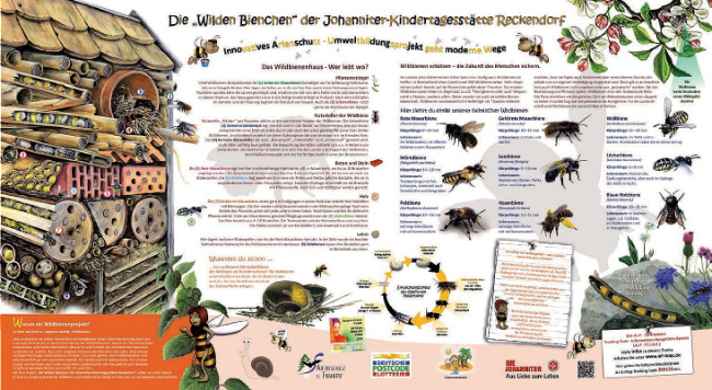 © Artenschutz in Franken® Bild zum Eintrag (1005351-160)