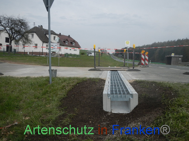 Bild zum Eintrag (1005364-160)