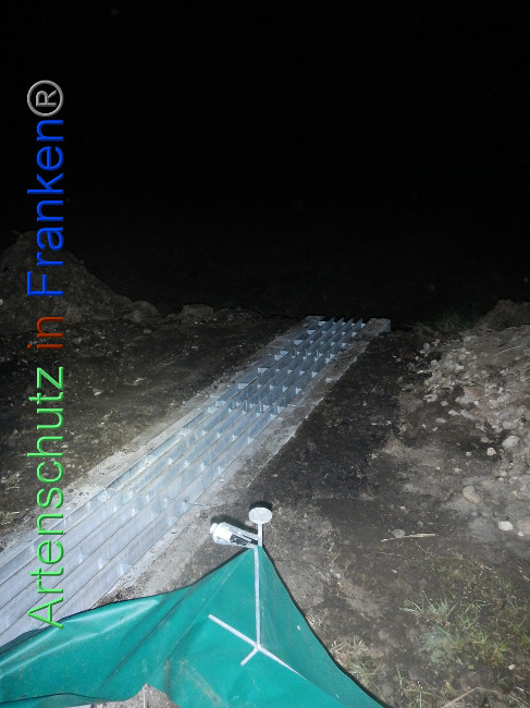 © Artenschutz in Franken® Bild zum Eintrag (1005370-160)