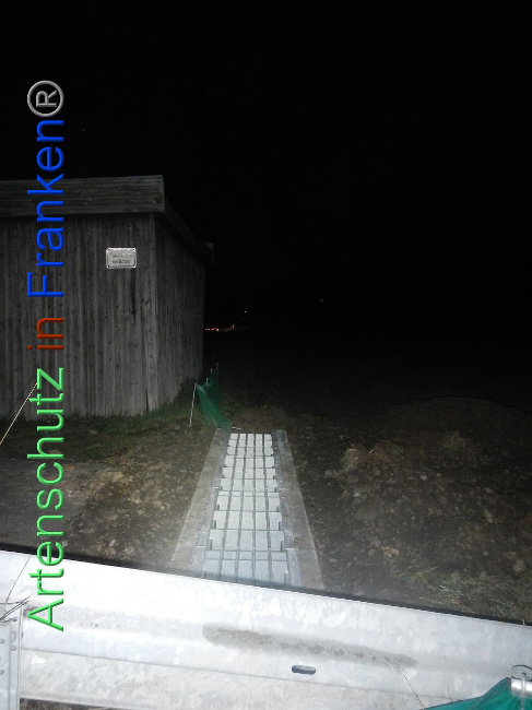 © Artenschutz in Franken® Bild zum Eintrag (1005371-160)