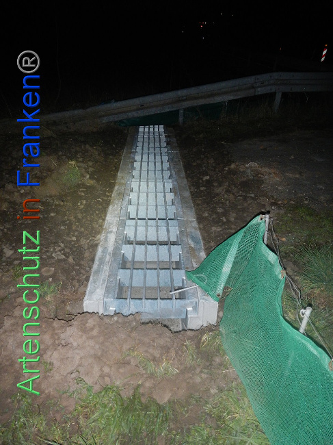 © Artenschutz in Franken® Bild zum Eintrag (1005372-160)