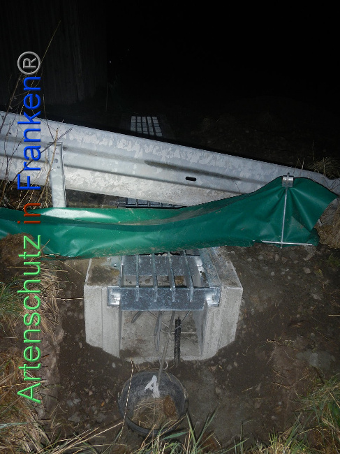 © Artenschutz in Franken® Bild zum Eintrag (1005374-160)