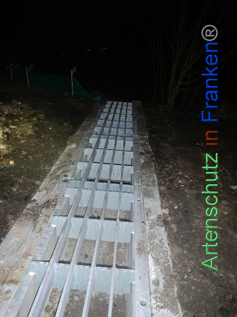 © Artenschutz in Franken® Bild zum Eintrag (1005375-160)