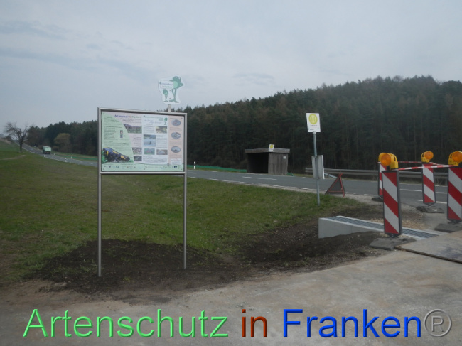 © Artenschutz in Franken® Bild zum Eintrag (1005382-160)