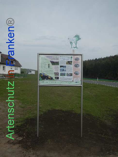 © Artenschutz in Franken® Bild zum Eintrag (1005383-160)
